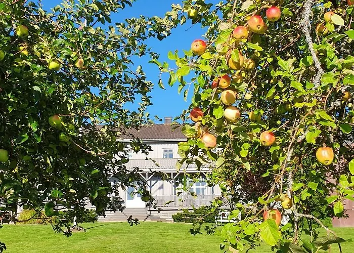 Stenbekk